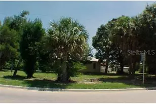 27 S Manatee Ave, Arcadia, FL 34266 - Photo 1