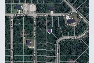 463 Reese Street, Port Charlotte, FL 33953 - Photo 4