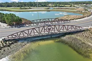 43660 Tree Top Trl, Punta Gorda, FL 33982 - Photo 46