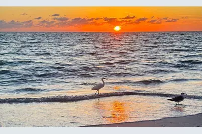 8306 Little Gasparilla Island, Placida, FL 33946 - Photo 16