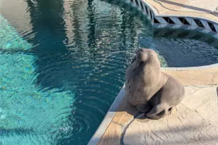 227 Antofagasta St, Punta Gorda, FL 33983 - Photo 24