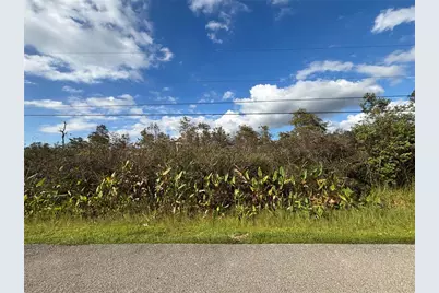 Xxx 37th Ave NE, Naples, FL 34120 - Photo 14