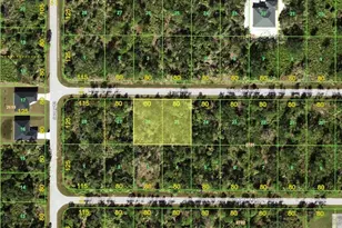 17411 Plains Ave, Port Charlotte, FL 33948 - Photo 1