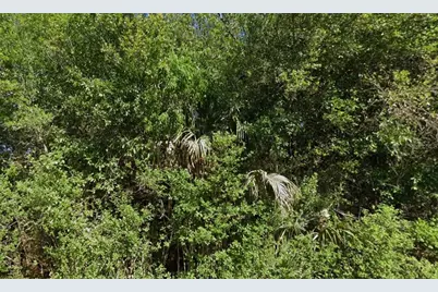 4702 Vera Avenue N, Lehigh Acres, FL 33971 - Photo 4