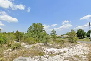 103 Vera Ln NW, Lake Placid, FL 33852 - Photo 2