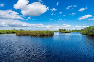 38881 Washington Loop Rd, Punta Gorda, FL 33982 - Photo 52