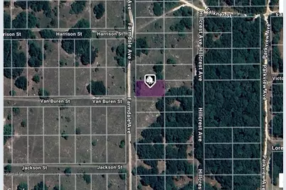 1008 Farmdale Avenue, Inverness, FL 34453 - Photo 2