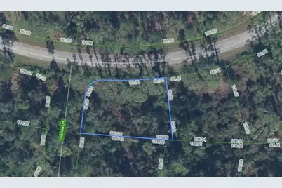 8823 Oviedo Street, Sebring, FL 33872 - Photo 2