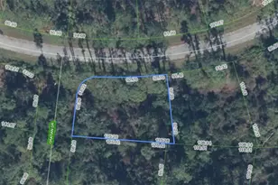 8823 Oviedo St, Sebring, FL 33872 - Photo 2