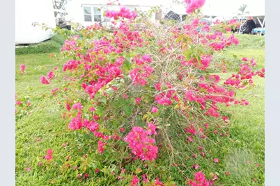 11739 SW Lemon Avenue, Arcadia, FL 34269 - Photo 46