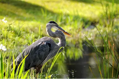 24430 24438 24431 Nicobar Lane, Punta Gorda, FL 33955 - Photo 26