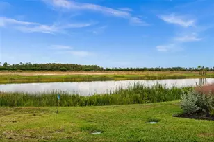 44518 Little Blue Heron Wy, Punta Gorda, FL 33982 - Photo 38