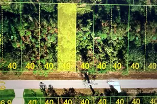 27042 & 27046 Pasadena Dr, Punta Gorda, FL 33955 - Photo 1