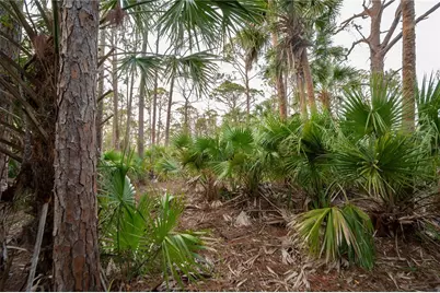 Kamsler Avenue, North Port, FL 34286 - Photo 62