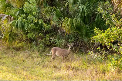 Kamsler Avenue, North Port, FL 34286 - Photo 38