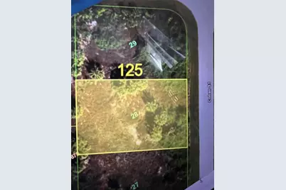 7273 Cohen Street, Port Charlotte, FL 33981 - Photo 1