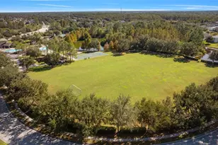 4352 English Turn Way, Wesley Chapel, FL 33543 - Photo 54