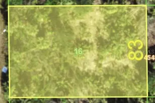 10138 Longbranch St, Port Charlotte, FL 33981 - Photo 1