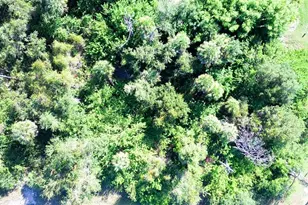 197 Cougar Way, Rotonda West, FL 33947 - Photo 1