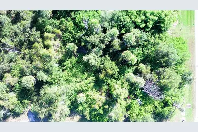 199 Cougar Way, Rotonda West, FL 33947 - Photo 2