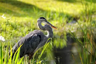 16474 Trading Post Rd, Punta Gorda, FL 33955 - Photo 38