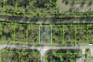 743 Pinecastle Dr, Lehigh Acres, FL 33974 - Photo 1