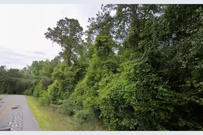 291 SW Pine Forest Court, Lake City, FL 32024 - Photo 2