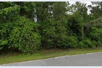 291 SW Pine Forest Court, Lake City, FL 32024 - Photo 6