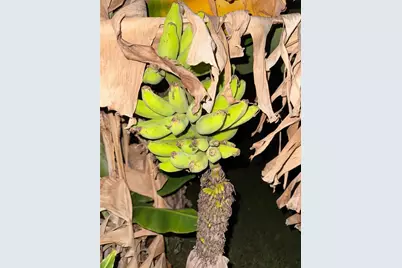 2750 Abbotsford Street, North Port, FL 34287 - Photo 14