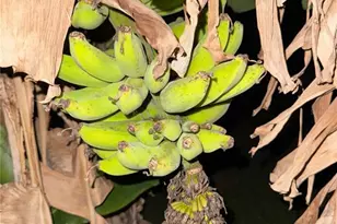 2750 Abbotsford St, North Port, FL 34287 - Photo 14