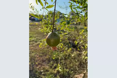 2750 Abbotsford Street, North Port, FL 34287 - Photo 44