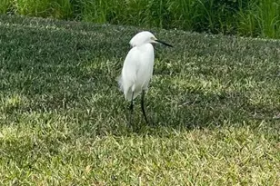 12424 Grouse Ave, Port Charlotte, FL 33981 - Photo 40