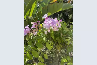 27511 Cleveland Avenue, Punta Gorda, FL 33982 - Photo 42