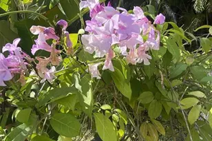 27511 Cleveland Ave, Punta Gorda, FL 33982 - Photo 42