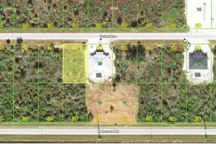 12151 Tetzel Ave, Port Charlotte, FL 33981 - Photo 1