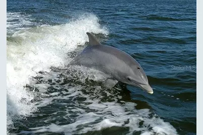 14056 Hydrangea Avenue, Port Charlotte, FL 33953 - Photo 6