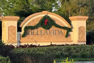 3372 Dandolo Cir, Cape Coral, FL 33909 - Photo 64