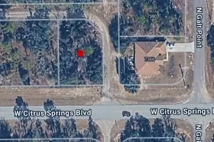 2565 W Citrus Springs Blvd, Citrus Springs, FL 34434 - Photo 1