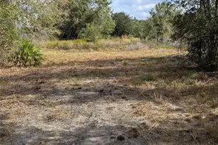 4508 SE Wheat Ave, Arcadia, FL 34266 - Photo 40