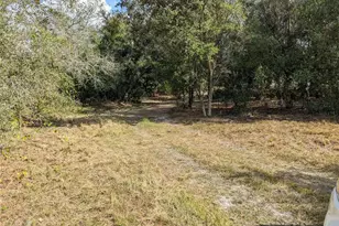 4508 SE Wheat Ave, Arcadia, FL 34266 - Photo 50