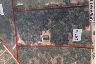 4508 SE Wheat Ave, Arcadia, FL 34266 - Photo 28