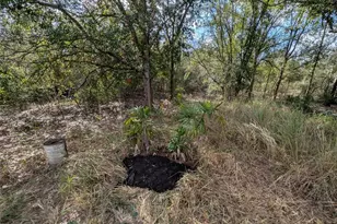 4508 SE Wheat Ave, Arcadia, FL 34266 - Photo 46