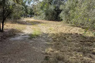 4508 SE Wheat Ave, Arcadia, FL 34266 - Photo 32