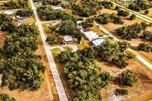 29341 Passion Flower St, Punta Gorda, FL 33982 - Photo 68