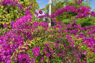 15380 Sunkist Dr, Punta Gorda, FL 33955 - Photo 48