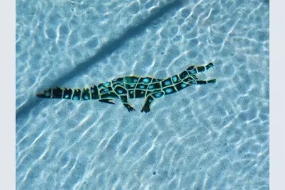 1700 Blue Lake Circle, Punta Gorda, FL 33983 - Photo 28