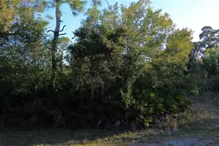 27481 Senator Dr, Punta Gorda, FL 33955 - Photo 1