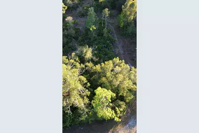 27481 Senator Drive, Punta Gorda, FL 33955 - Photo 6