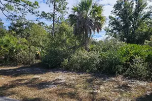 211 Baldur Dr, Port Charlotte, FL 33954 - Photo 1