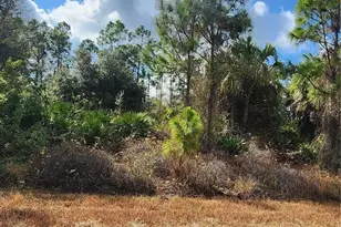 Filbert St, North Port, FL 34288 - Photo 1